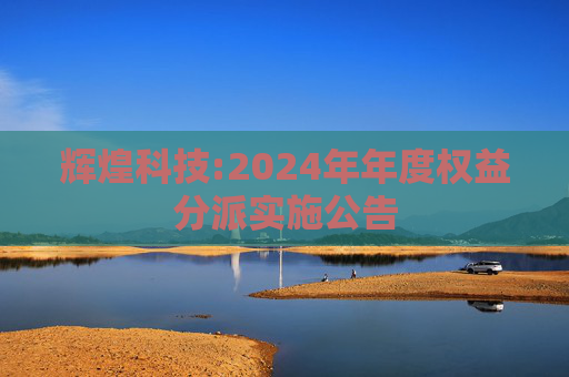 辉煌科技:2024年年度权益分派实施公告  第1张