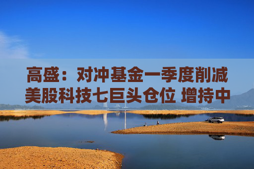 高盛：对冲基金一季度削减美股科技七巨头仓位 增持中概股