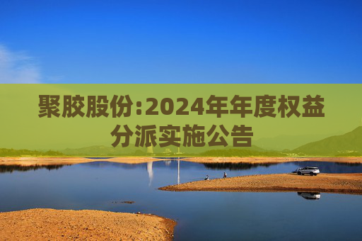 聚胶股份:2024年年度权益分派实施公告