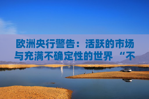 欧洲央行警告：活跃的市场与充满不确定性的世界 “不同步”