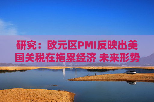 研究：欧元区PMI反映出美国关税在拖累经济 未来形势或更糟