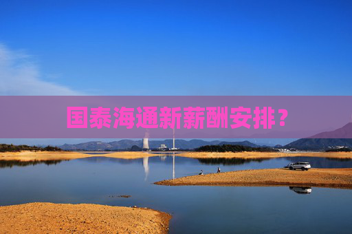国泰海通新薪酬安排？