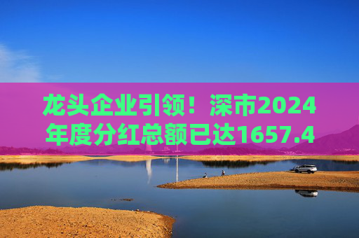 龙头企业引领！深市2024年度分红总额已达1657.47亿元  第1张