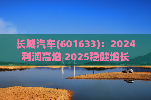 长城汽车(601633)：2024利润高增 2025稳健增长  第1张