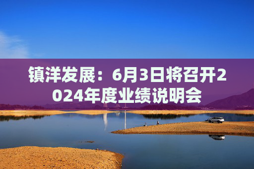 镇洋发展：6月3日将召开2024年度业绩说明会  第1张