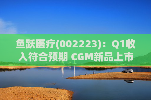 鱼跃医疗(002223)：Q1收入符合预期 CGM新品上市丰富增长动能