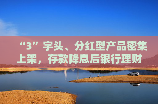 “3”字头、分红型产品密集上架，存款降息后银行理财花式“抢钱”，31万亿市场短期或仍扩容  第1张