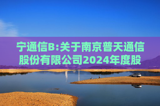 宁通信B:关于南京普天通信股份有限公司2024年度股东大会的法律意见书  第1张
