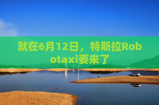 就在6月12日，特斯拉Robotaxi要来了  第1张