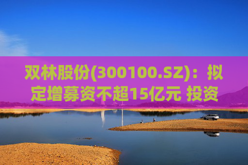 双林股份(300100.SZ)：拟定增募资不超15亿元 投资于滚柱丝杠及关节模组产业化项目等