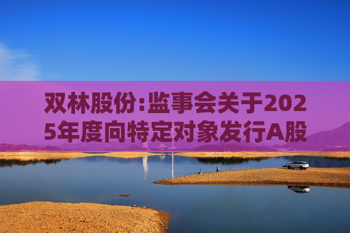 双林股份:监事会关于2025年度向特定对象发行A股股票的书面审核意见