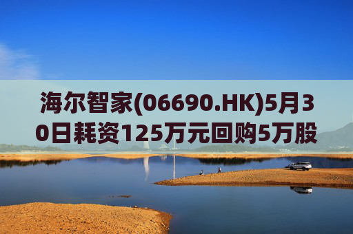 海尔智家(06690.HK)5月30日耗资125万元回购5万股A股