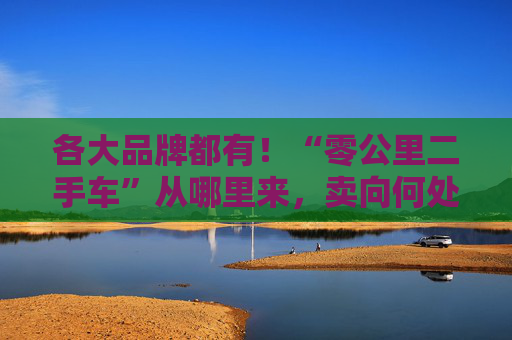 各大品牌都有！“零公里二手车”从哪里来，卖向何处，影响有多大？  第1张