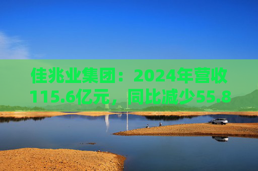 佳兆业集团：2024年营收115.6亿元，同比减少55.8%