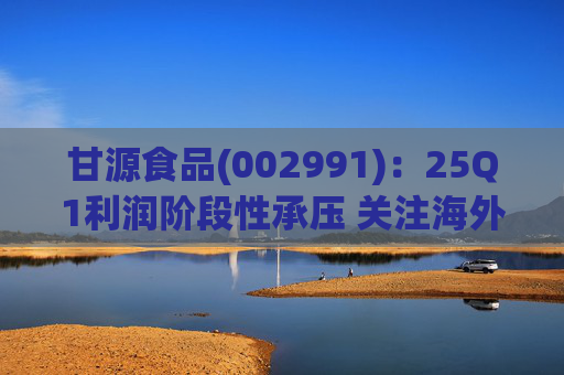 甘源食品(002991):25Q1利润阶段性承压 关注海外市场突破 第1张 甘源食品(002991):25Q1利润阶段性承压 关注海外市场突破 第1张