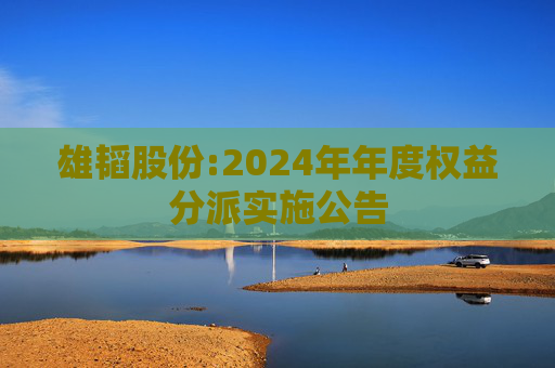 雄韬股份:2024年年度权益分派实施公告
