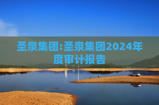 圣泉集团:圣泉集团2024年度审计报告