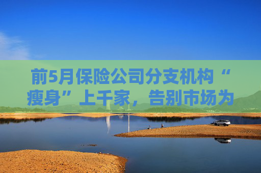 前5月保险公司分支机构“瘦身”上千家，告别市场为哪般  第1张