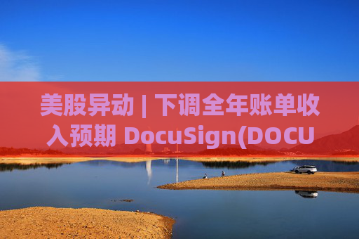 美股异动 | 下调全年账单收入预期 DocuSign(DOCU.US)大跌超18%