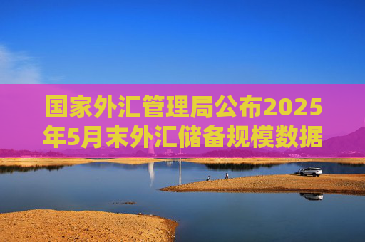 国家外汇管理局公布2025年5月末外汇储备规模数据  第1张