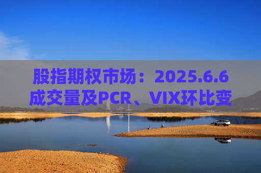 股指期权市场：2025.6.6成交量及PCR、VIX环比变动情况
