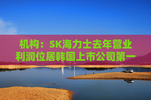 机构：SK海力士去年营业利润位居韩国上市公司第一，首次超过三星电子