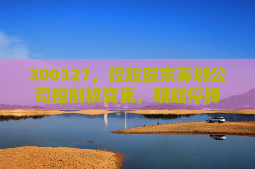 300327，控股股东筹划公司控制权变更，明起停牌  第1张