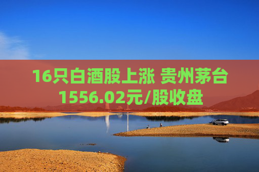 16只白酒股上涨 贵州茅台1556.02元/股收盘  第1张
