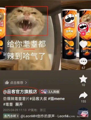 品客薯片视频被指玩虐猫梗，公司回应：不知这个梗，视频已删