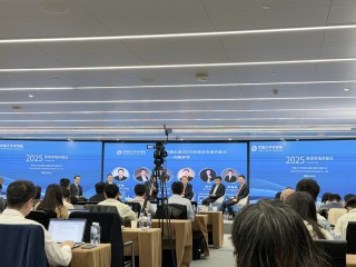 中国太保副总裁苏罡：久期缺口并非越小越好，合理缺口有助提升长期风险回报