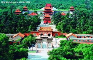 如何办理沈阳医保的相关事宜？这些事宜在不同人群中有何差异？