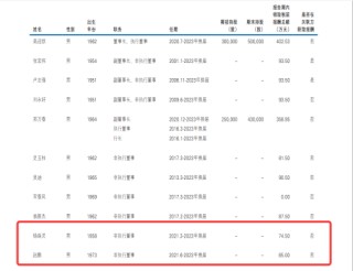 大家保险派驻民生银行董事领取“双份薪酬”