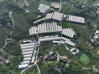 恒丰银行为新春“肉篮子”添“金”