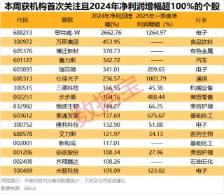仅6股，“耐心资本”连续13个季度持仓且机构首次关注！3股2024年净利润创近10年新高