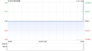 伟业控股建议更换核数师