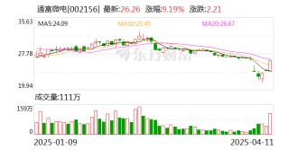 通富微电：2024年净利润同比增长299.9% 拟10派0.45元