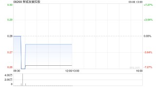 智城发展控股：终止配售协议