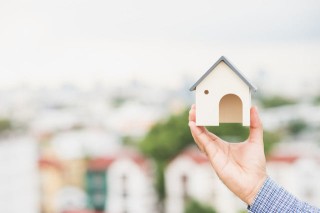 如何在房地产市场中做出理性的投资决策？这些决策如何降低风险？