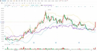 “天价猴”再临CRO，20cm大红柱吹响昭衍新药股价反攻号角？
