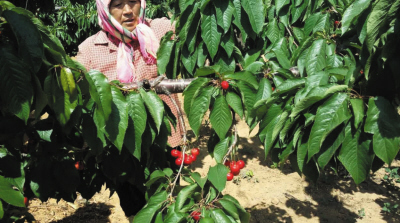 什么是风火重绿色股票？风火重绿色股票的发展趋势如何？  第1张