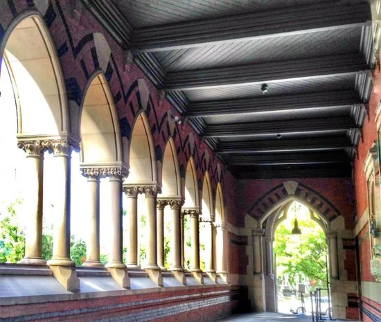 哈佛与白宫对决，美国人如何站队？  第4张