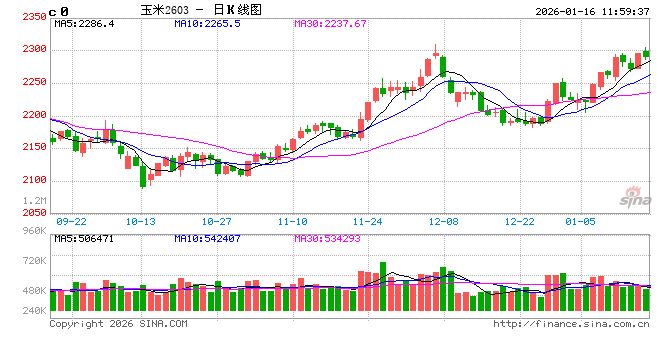 元旦后玉米维持微涨走势 基层货源流转成远期关键变量  第2张