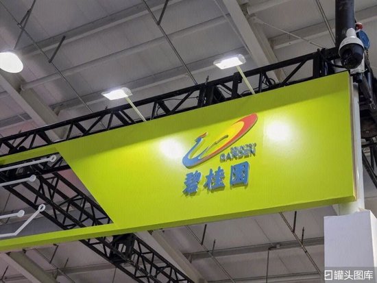 杨惠妍被罚、董事会力挺！碧桂园千亿债务危机解除了吗？  第9张