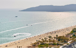 【申万宏源研究春节见闻】旅居热与跨境潮：从惠州滨海到香港街头的春节轨迹  第1张